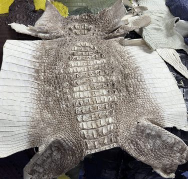 【第19回】タイと中国の取引関係から見るクロコダイル原皮輸出の変化