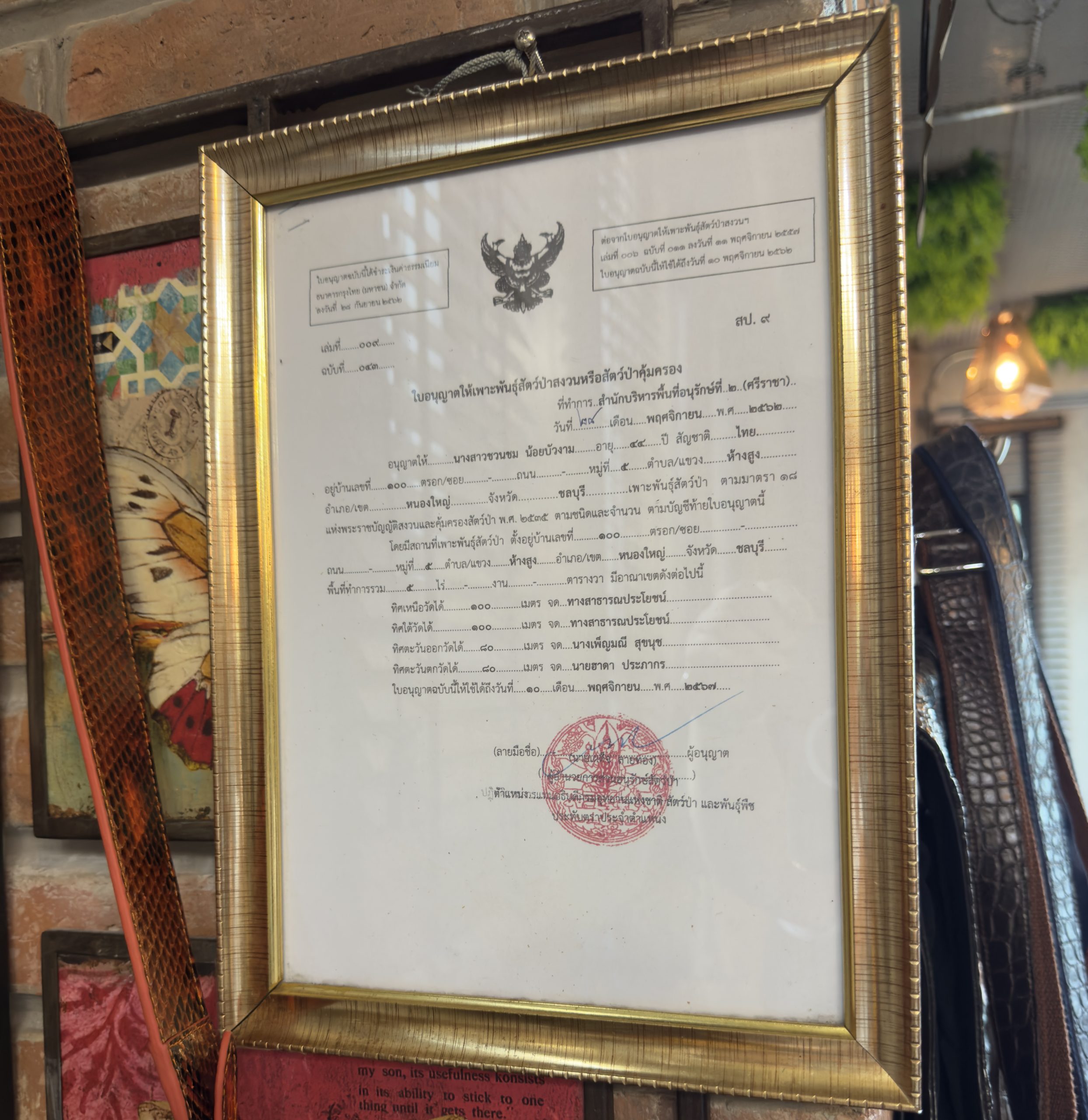 CITES規制のポイント｜輸入・購入時に何が必要？