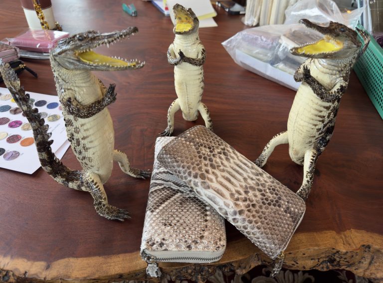 本物のクロコダイル財布と偽物の違いとは？