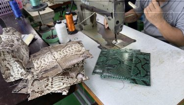 職人インタビュー｜パイソン財布に命を吹き込む技術とは？一枚革を作品に変える手仕事